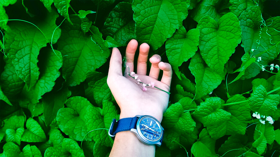 Photo Correction Software Auto image corrector app Digital picture